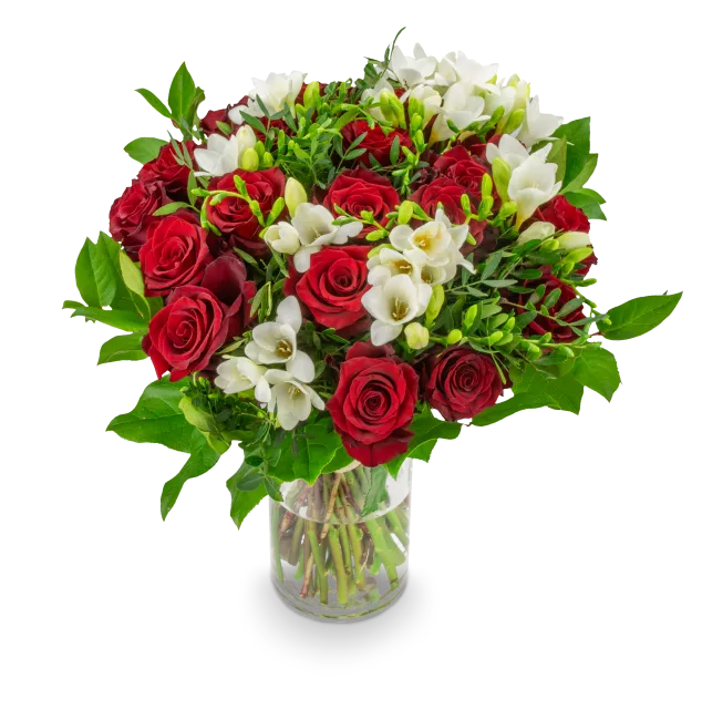 ALBERTINA_STREDNI_IMG_1774_eRGB.png